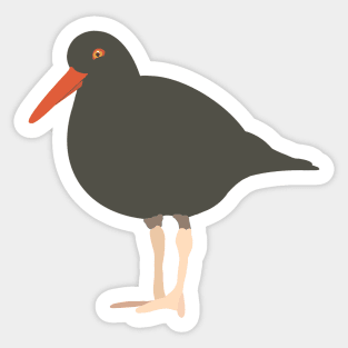 Black Oystercatcher Sticker